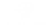 Logo Visa Solutions Blanco
